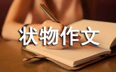 �����A����һ��������6ƪ