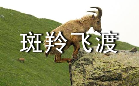 《斑羚飛渡》讀后感【薦】