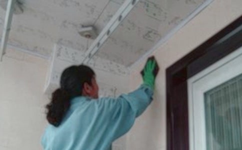 [�ϼ�]��������(w��)�а���ͬ13ƪ