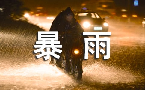 大暴雨那天四年級作文(精選20篇)