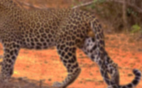 �����A����������500��4ƪ