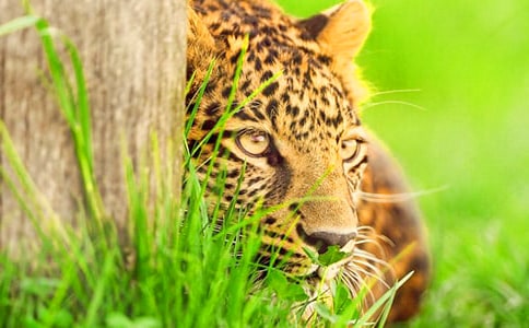 ����С�W(xu��)���꼉����