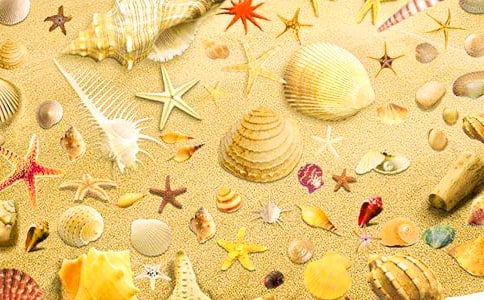 ��ؐ������һ�꼉