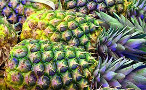 �P(gu��n)���茑���}�������450��