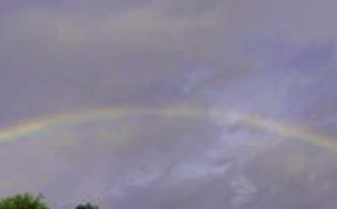 ���x�ʺ�����300��6ƪ