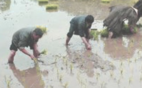 �ҌW(xu��)��(hu��)�˲�������1000��