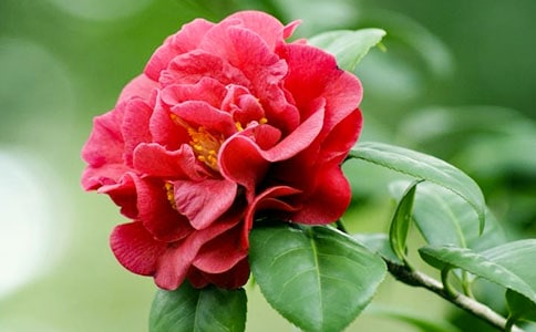 �軨����400��7ƪ