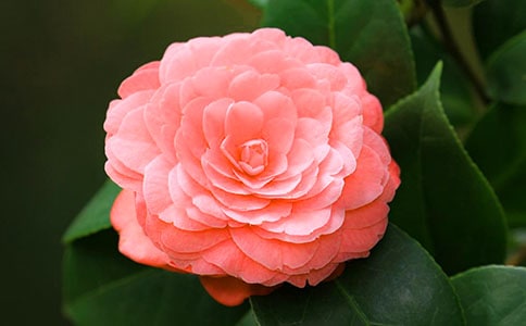 ���x�軨���꼉������ƪ