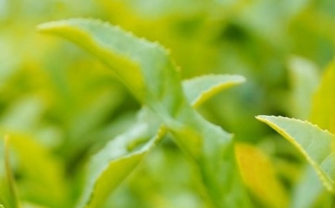 ����ζ�Ĳ��~������ëһֻ���������ģ����x5ƪ��