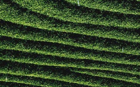 ���~��(chu��ng)��(chu��ng)�I(y��)Ӌ������ͨ��5ƪ��