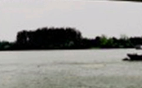 美麗的長(zhǎng)江作文(15篇)