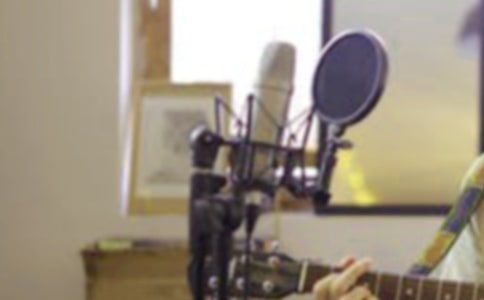 聽宋祖英唱歌500字作文