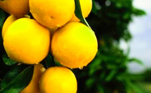 С�����Ӻͳ������}�̰�