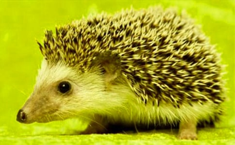 ����c��؂����������