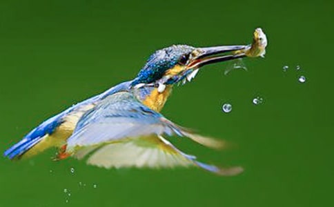 ���B�̌W�O(sh��)Ӌ