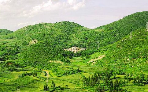 ��ɽ�еĲ��_���m����500��