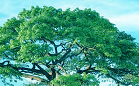 һ�ô���x��з��ģ����x15ƪ��