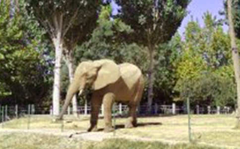 ����(sh��)�á�����ͯԒ������ƪ