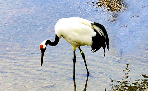 ����Q����300����ƪ