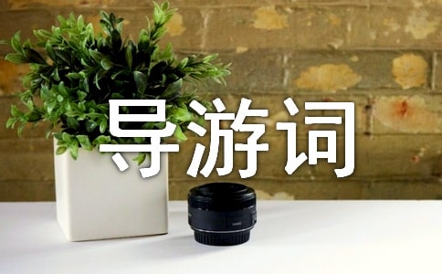 ���(y��ng)���ɽ��(d��o)���~