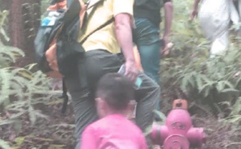 【熱門】登山作文300字三篇