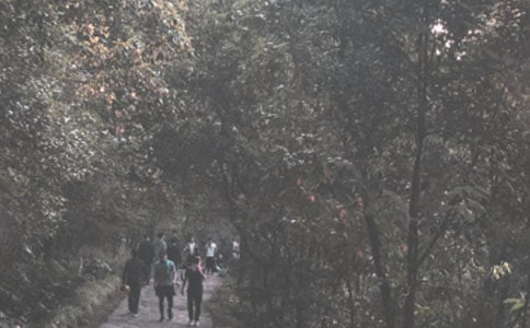 【精華】登山啟示作文六篇