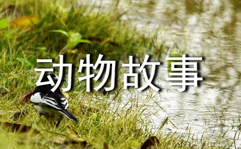 ���꼉��ͯԒ�����������300�֣����x86ƪ��