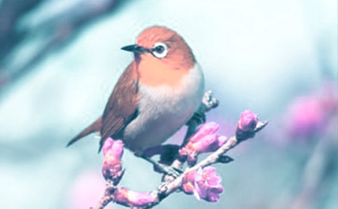 �^���ֲ����ӛ���ļ�����ƪ