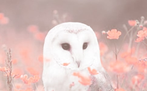 �^���ֲ����ӛ�����\��9ƪ