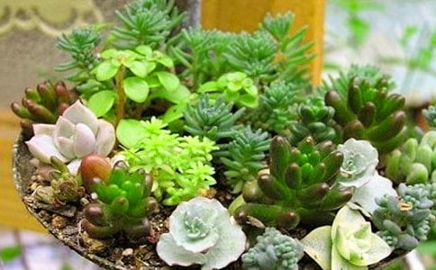 �����^����ӛ���\��ƪ