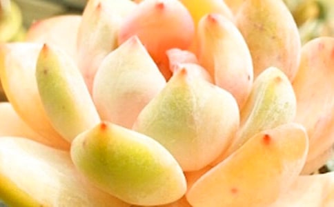 ���᡿�����^����ӛ