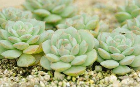 �����^����ӛ��ͨ��35ƪ��