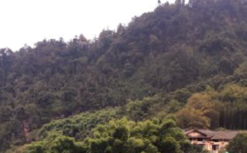 峨眉山景點導(dǎo)游詞(精選10篇)