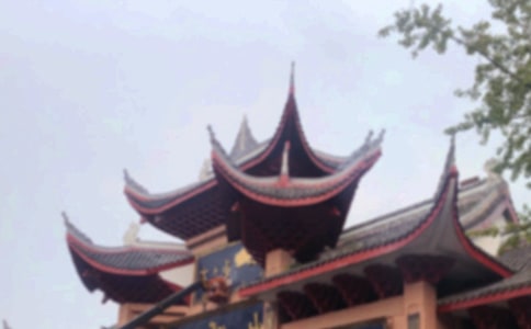 �����Ķ�üɽ����11ƪ