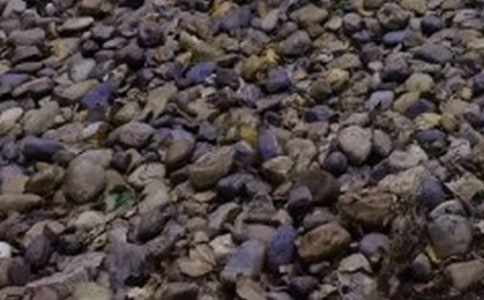 �Z��ʯ���꼉����