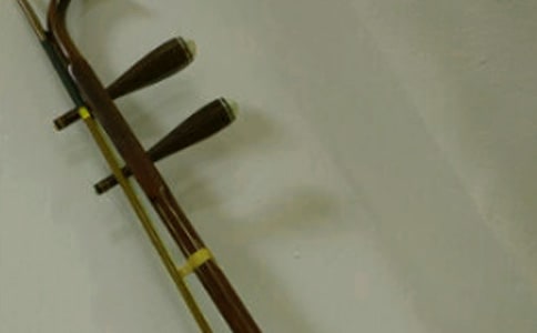 第一次二胡比賽初二作文