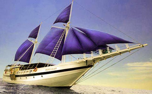 �����w�(y��n)�n���꼉(j��)����