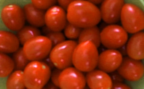 �Nֲ���Ѹ�������