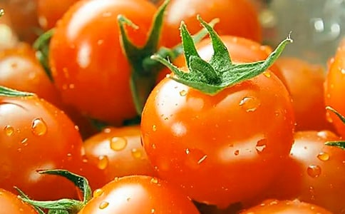 ���ѳ���С�W(xu��)���꼉����