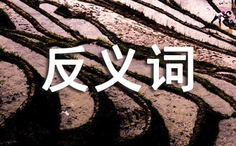 ��ɫ����Ľ��x�~�ͷ��x�~��ʲô