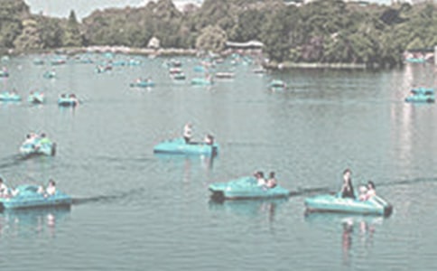 �����A���ƺ���������2ƪ