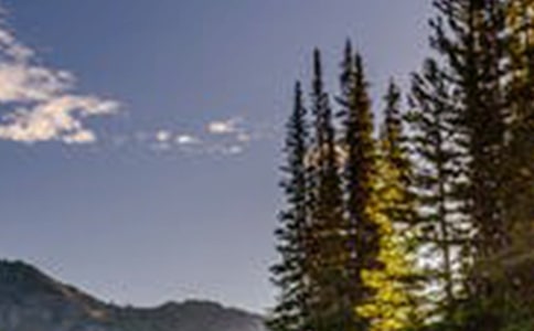 ��(d��ng)�e�^�Ĳ������L(f��ng)��ɢ��