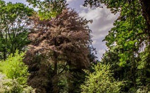 2022���L(f��ng)����(y��u)�����Ӽ��\79��