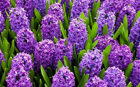 �L(f��ng)�����^����ӛ(9ƪ)