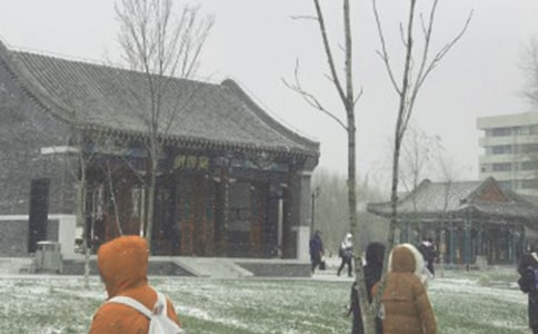 林教頭風(fēng)雪山神廟讀后感(通用10篇)