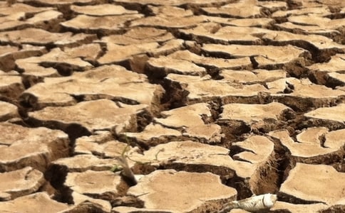 ������λ�Į���͸ɺ��գ����o(h��)��ľ����