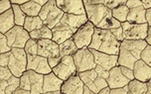 ������λ�Į���͸ɺ���������ӷ���