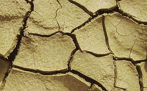 �ɺ���ɳĮ���꼉(j��)����