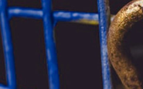 鋼鐵意志電影愛國觀后感(精選24篇)