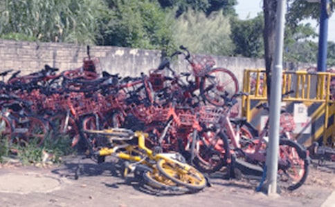 停放共享單車倡議書